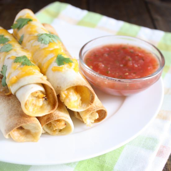 Baked Cream Cheese Chicken Taquitos