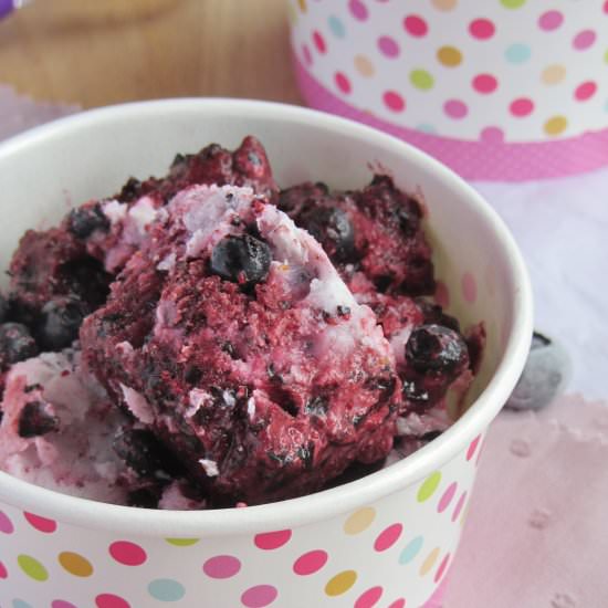 Blueberries and Coconut Milk Sorbet
