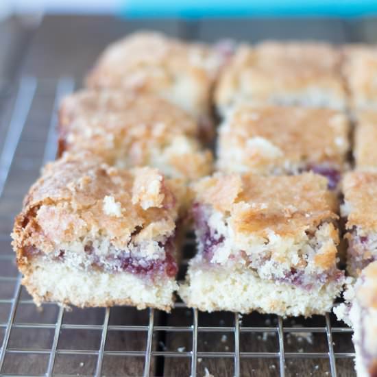 Raspberry Coconut Squares