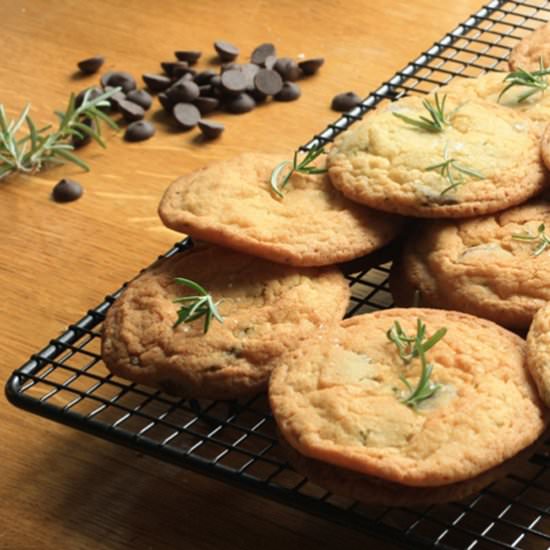 Choc Chip, Rosemary & Salt Biscuits
