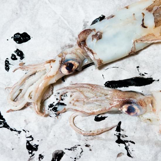 Getting to Grips With Squid Ink