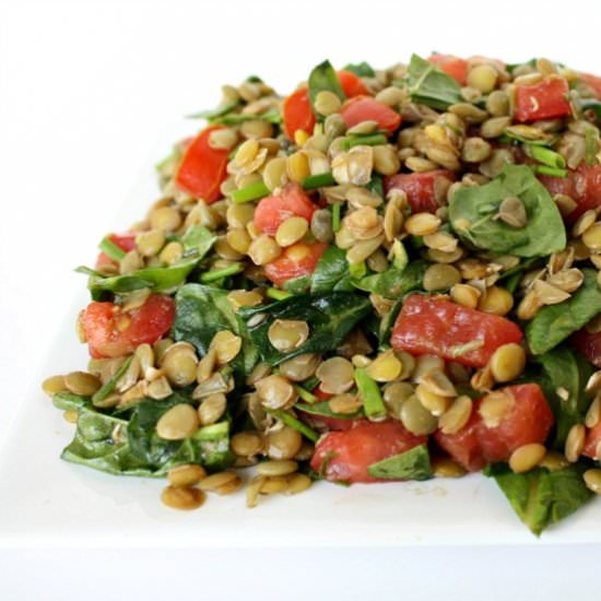 Lentil Salad with Capers