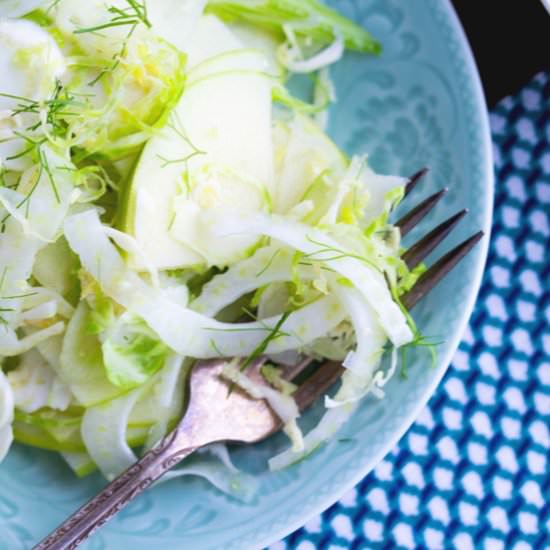 Apple Fennel Brussels Sprouts Slaw