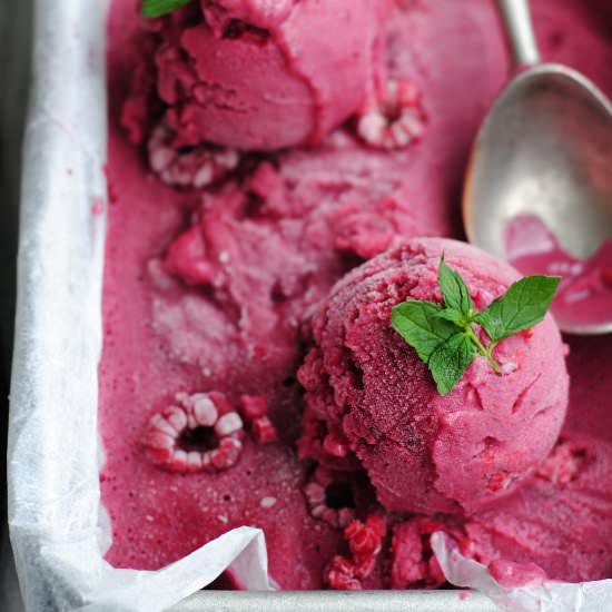 Mixed Berry Sherbet