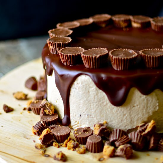 Flourless Peanut Butter Cake