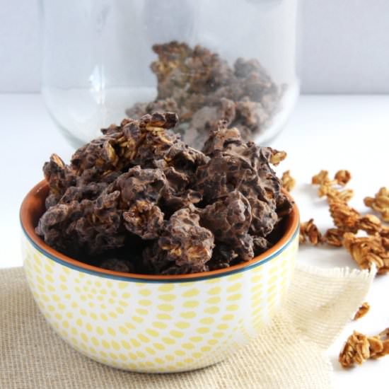 Chocolate Covered Granola