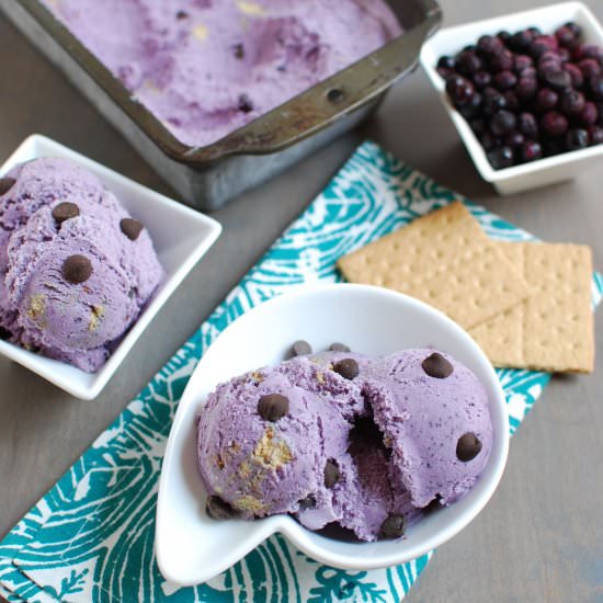 Wild Blueberry Ice Cream