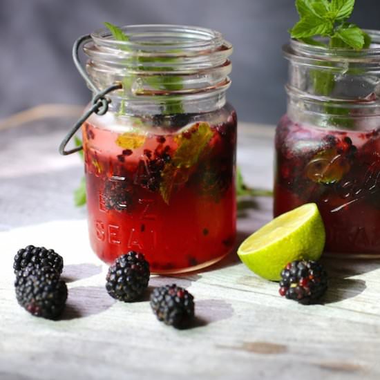 Blackberry-Ginger Fizz
