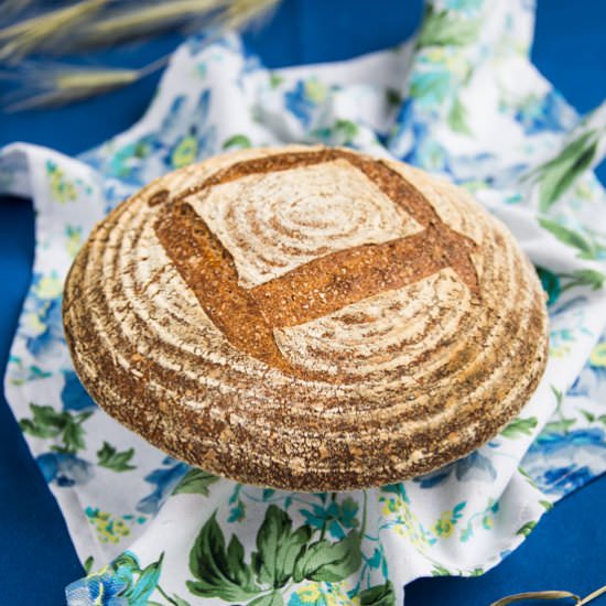Whole Wheat Sourdough Bread