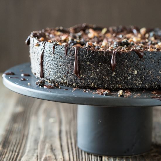 Frozen Mississippi Mud Pie
