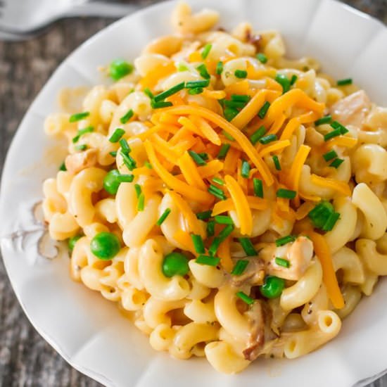 BBQ Chicken Mac and Cheese