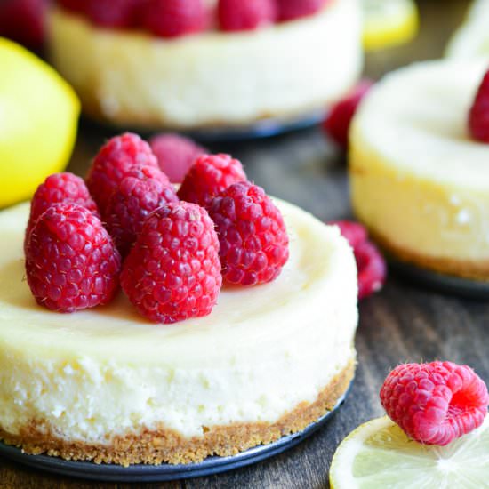 Mini Raspberry Lemon Cheesecake