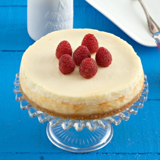Vanilla and Yogurt Cheesecake