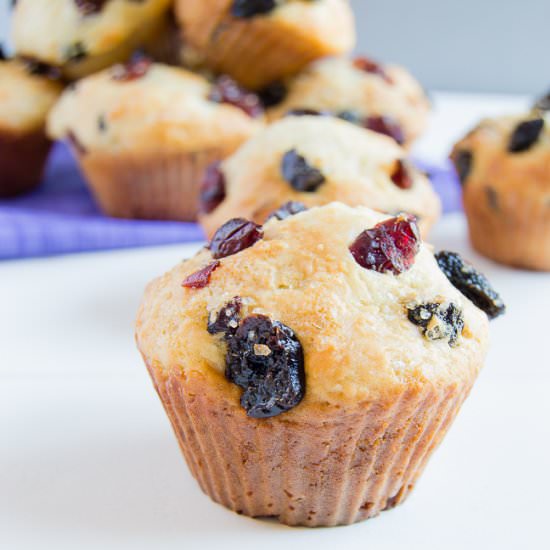Mixed Berry Vanilla Yogurt Muffins