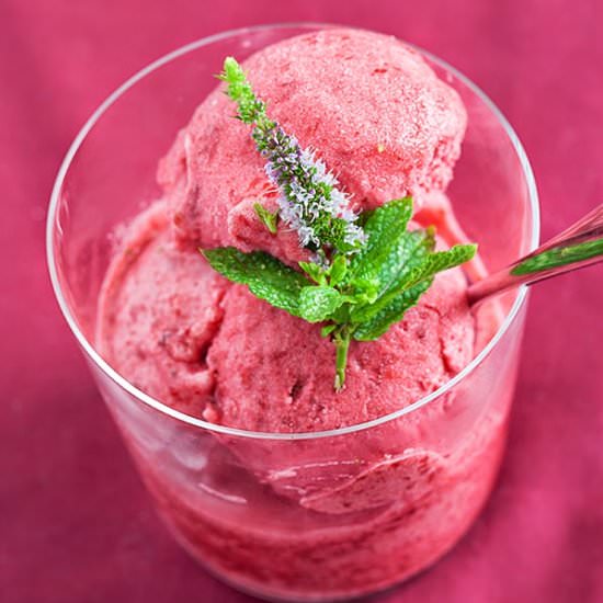 Red plums Sorbet
