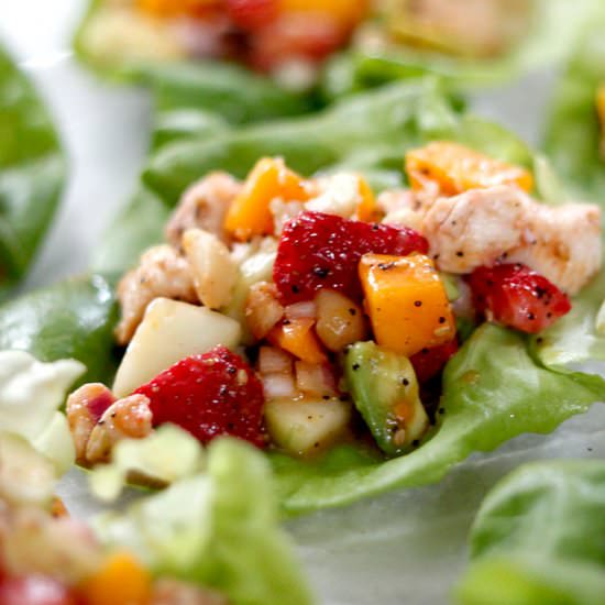 Poppy Seed Chicken Fruit Wraps