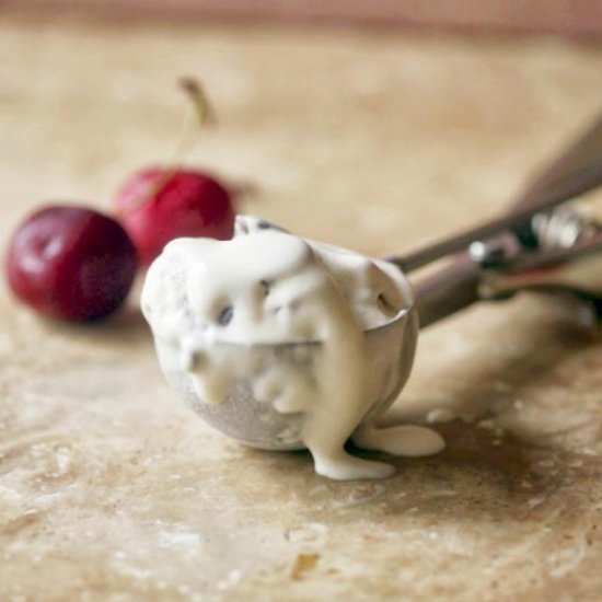 Cherry Chocolate Chip Ice Cream