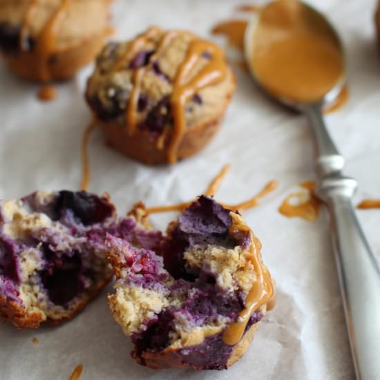 Blueberry Banana Protein Muffins