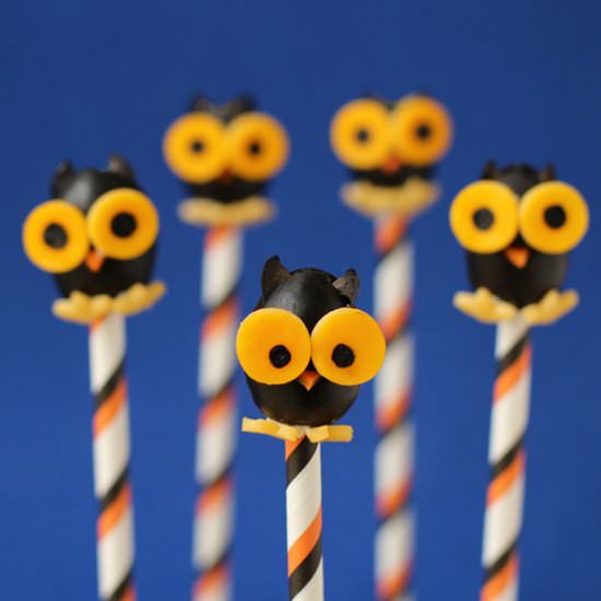 Black Olive Owls