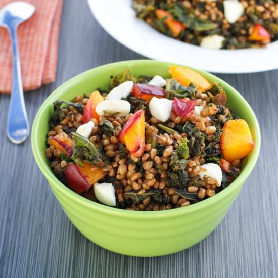 Wheat Berry Kale Nectarine Salad