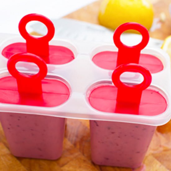 DIY Fruit Smoothie Popsicles