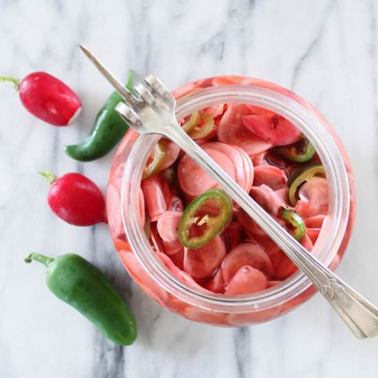 Overnight Pickled Jalapeño Radishes