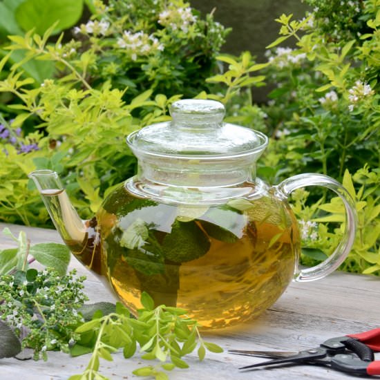 Herb Tea from Your Garden