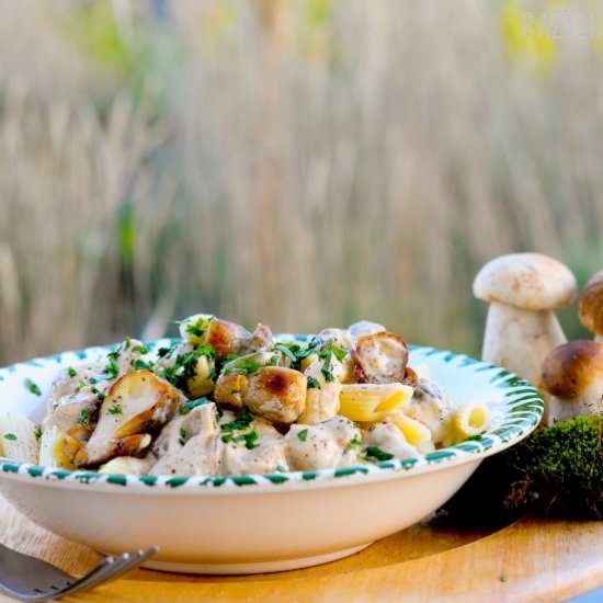 Pasta with Wine Based Boletus Sauce