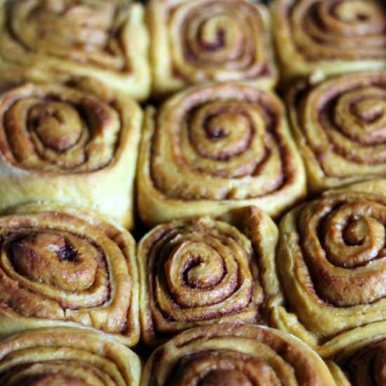 Pumpkin Cinnamon Rolls