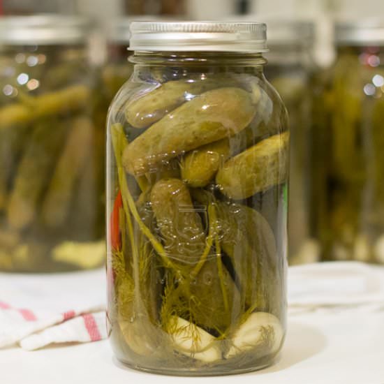 Spicy Garlic Dill Pickles