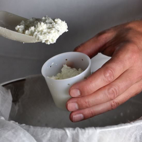 How-To Make Fresh Goat Cheese