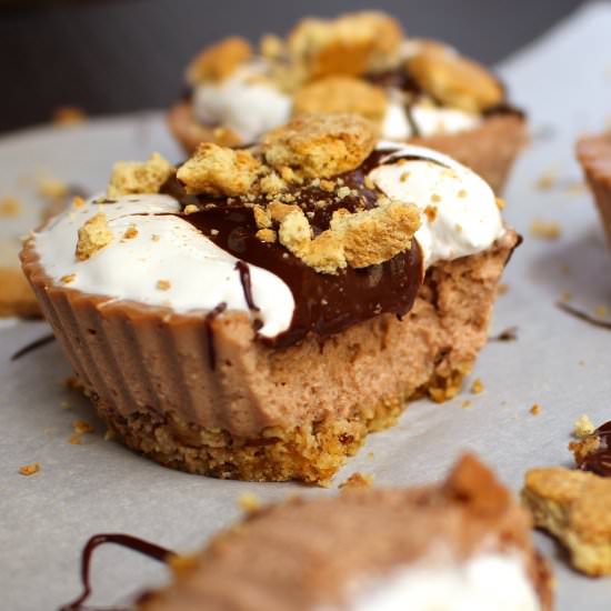 Guiltless Smores Protein Cheesecake