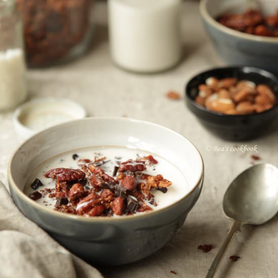 Chocolate Granola with Almond Milk