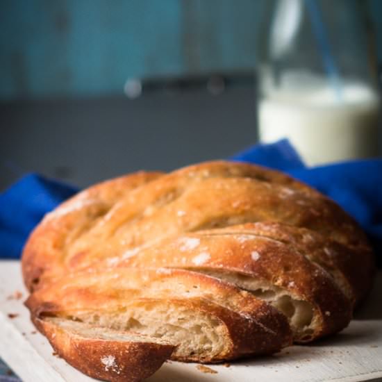 No-Knead Light Whole Wheat Bread