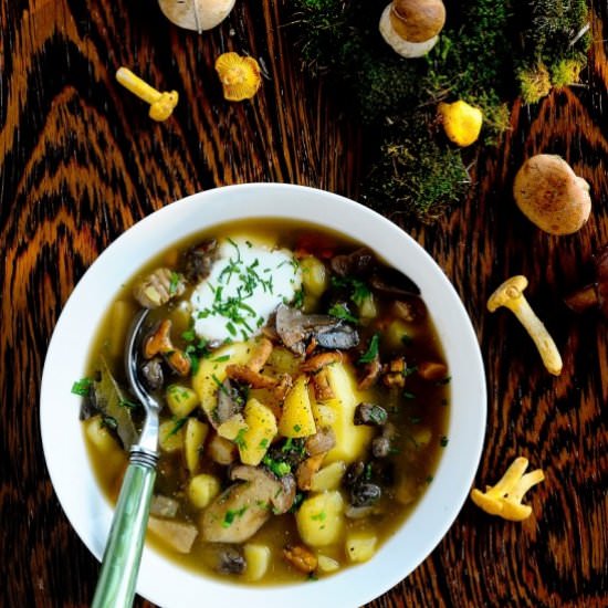 Forest mushroom soup