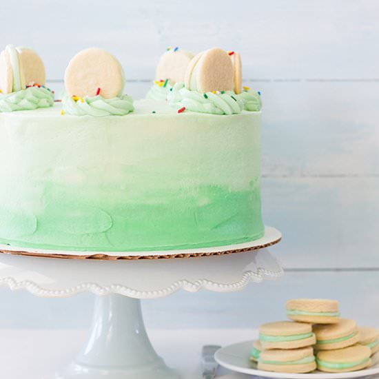 Funfetti Cake with Ombré Frosting
