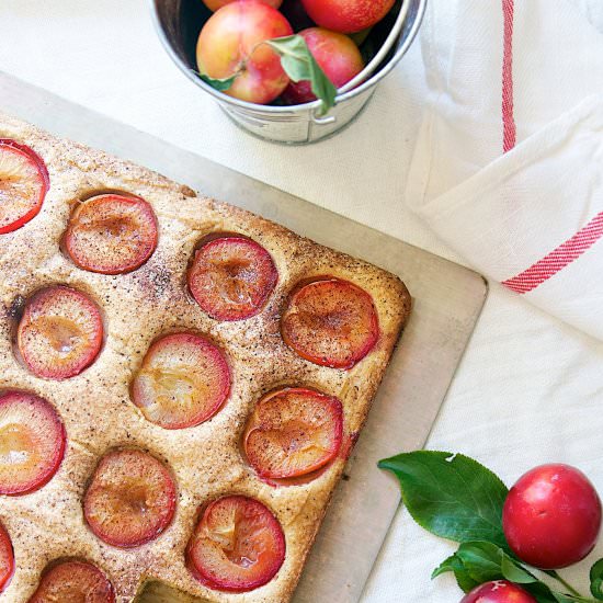 Gluten Free Plum Coffee Cake
