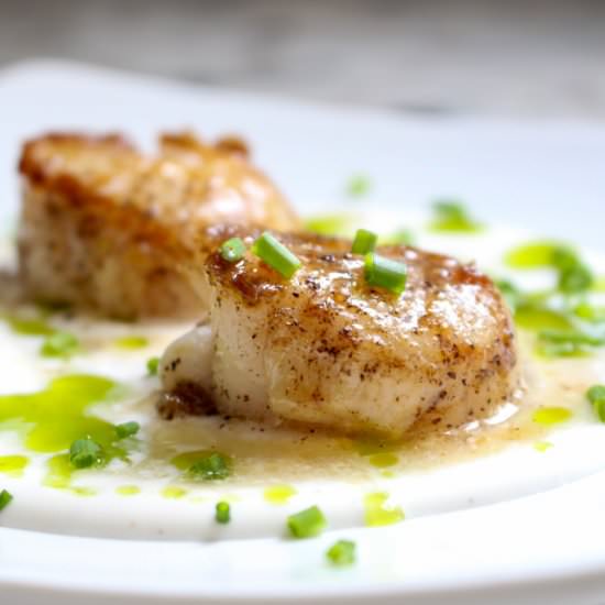 Scallops with White Soy Cream
