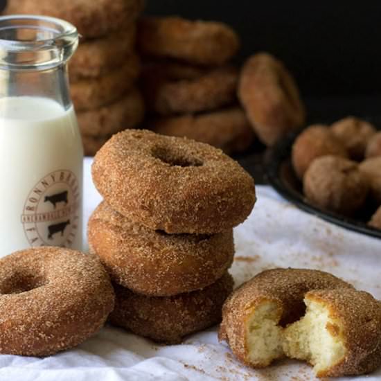 Cinnamon Sugar Buttermilk Doughnuts