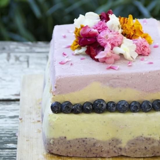Raw Vegan Chakra Cake