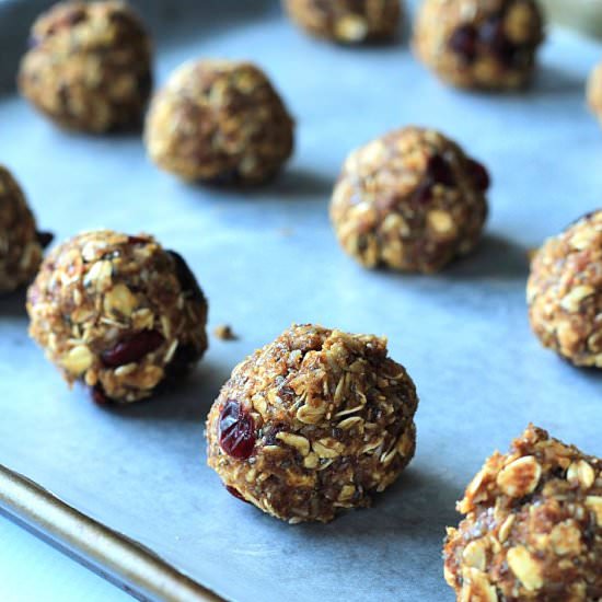 No Bake Pumpkin Spice Energy Bites