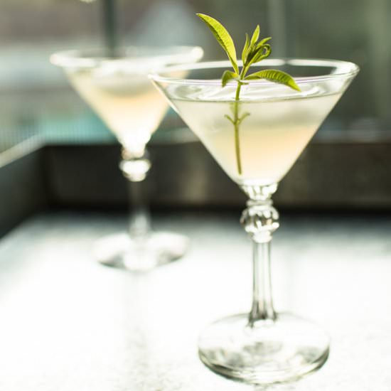 Lemon Verbena Cocktail