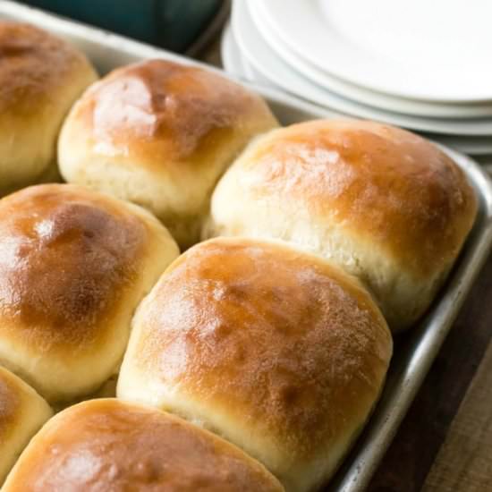 30 Minute Honey Butter Rolls
