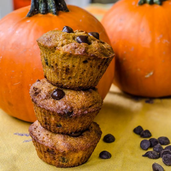 Coconut Flour Pumpkin Muffins