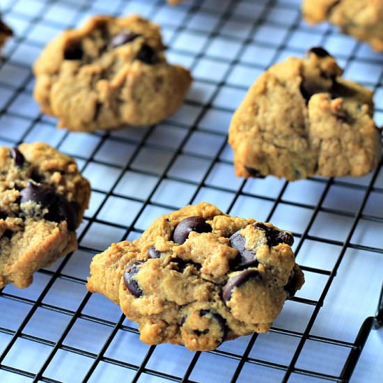 Pumpkin Chocolate Chip Cookies