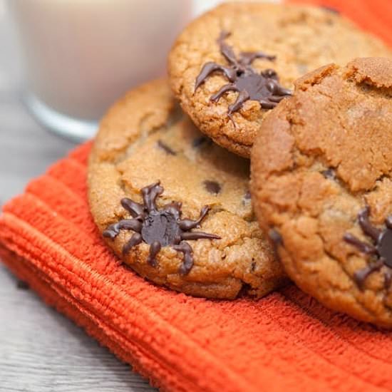 Spider Chocolate Chip Cookies