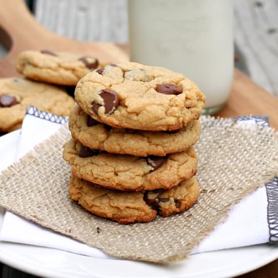 Peanut Butter Chocolate Cookies