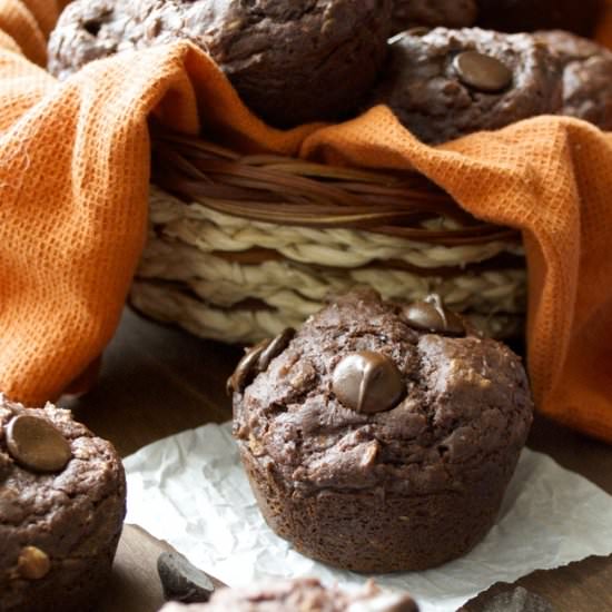 Chocolate Chunk Protein Muffins