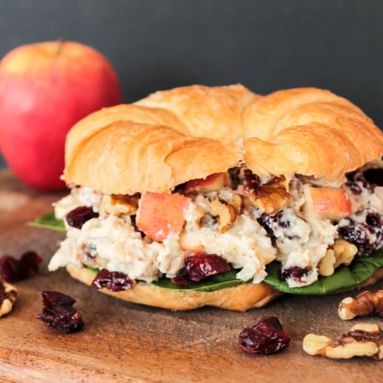 Apple Cranberry Chicken Salad