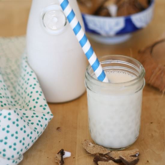 Homemade Coconut Milk